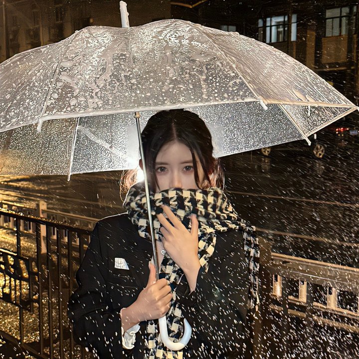 宛若淑女 在线观看